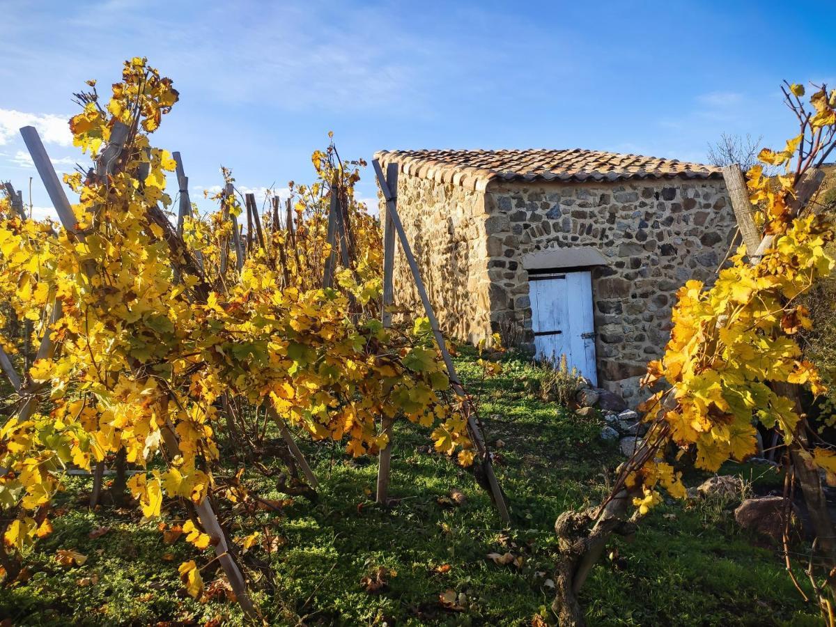 Condrieu Comme A La Maison Bagian luar foto