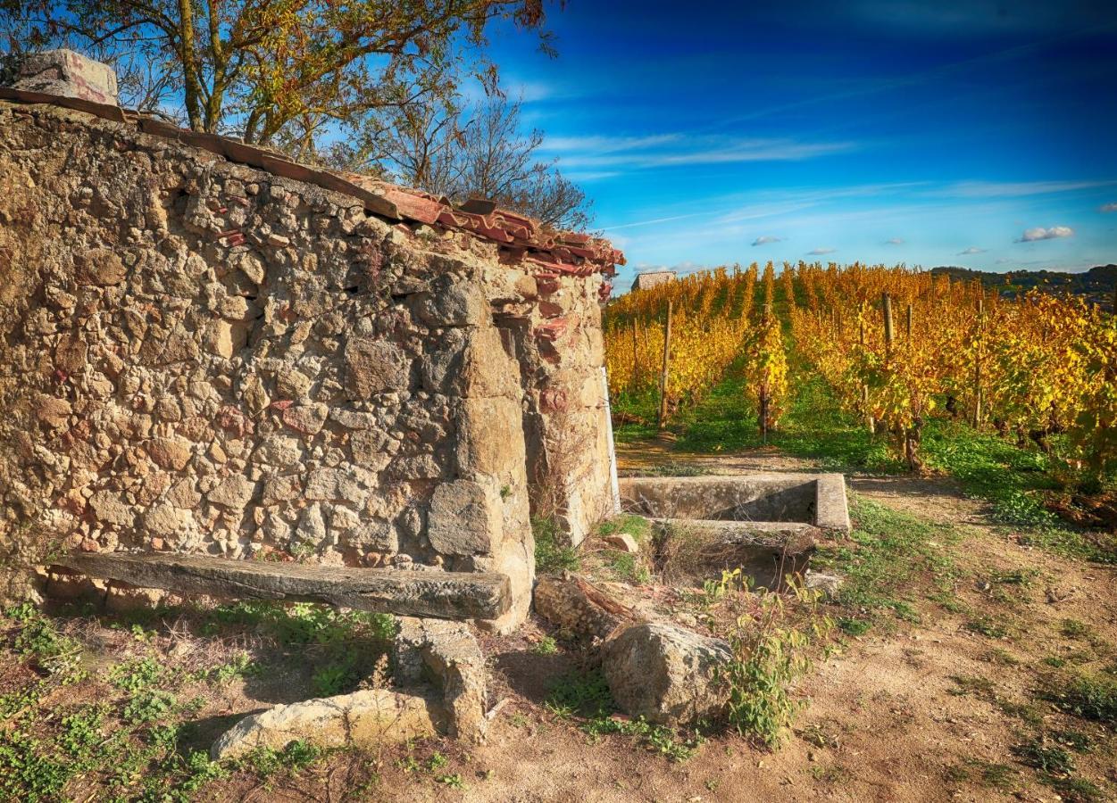 Condrieu Comme A La Maison Bagian luar foto