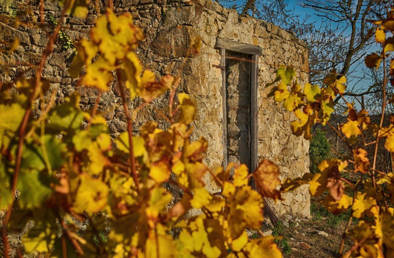 Condrieu Comme A La Maison Bagian luar foto